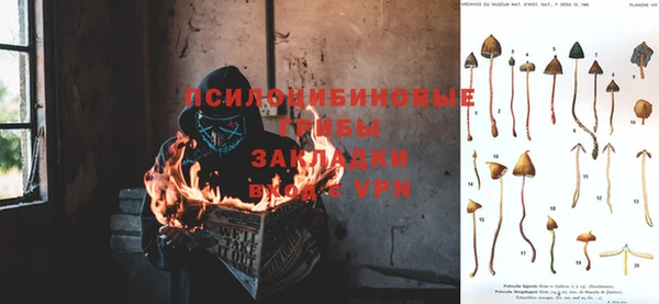 твердый Протвино