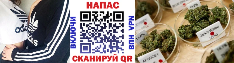 блэк спрут ТОР  Нестеров  Каннабис план  цены  