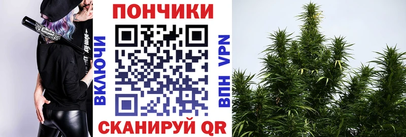 МАРИХУАНА White Widow Нестеров